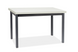 Стол обеденный ADAM Signal 120x68 Белый Мат / Черный ** реальная фотография